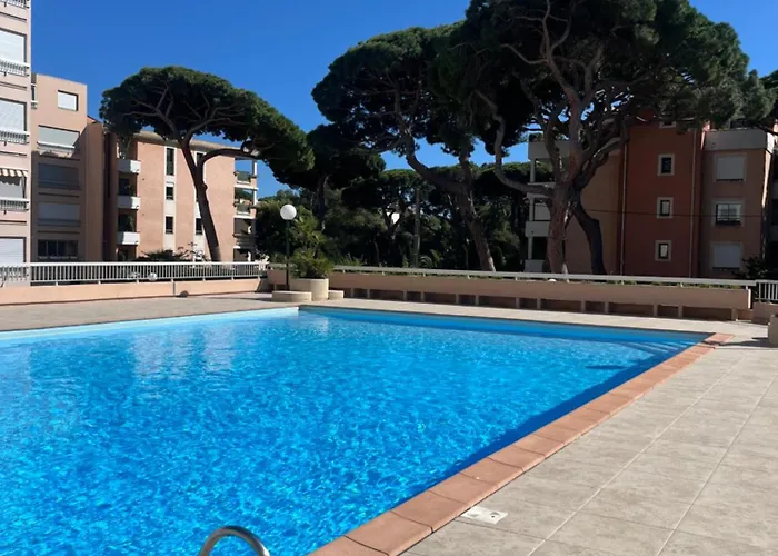 Studio Des Iles D\'Or Avec Piscine - Port D\'Hyeres