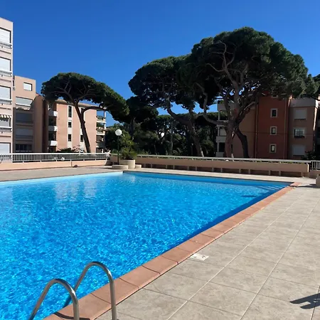 Studio Des Iles D'Or Avec Piscine - Port D'Hyères Exterior foto