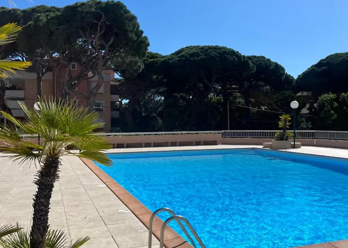 Studio Des Iles D\'Or Avec Piscine - Port D\'Hyeres