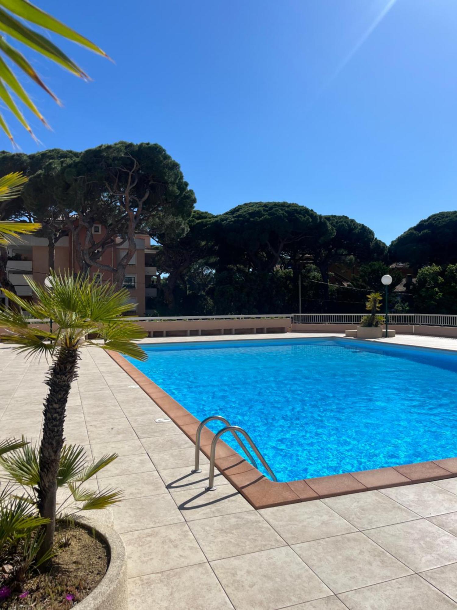 Apartment Des Iles D'or Avec Piscine - Port D'hyeres *